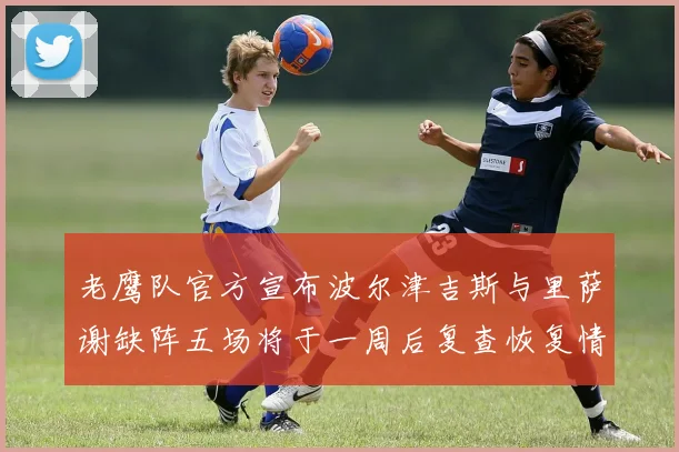 老鹰队官方宣布波尔津吉斯与里萨谢缺阵五场将于一周后复查恢复情况